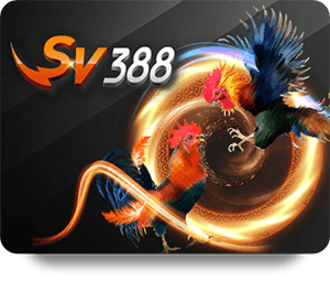 Experience Thrilling Live Dealer Action at FUN88 Hot Platform
